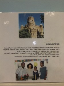 משפחת בוגלה
